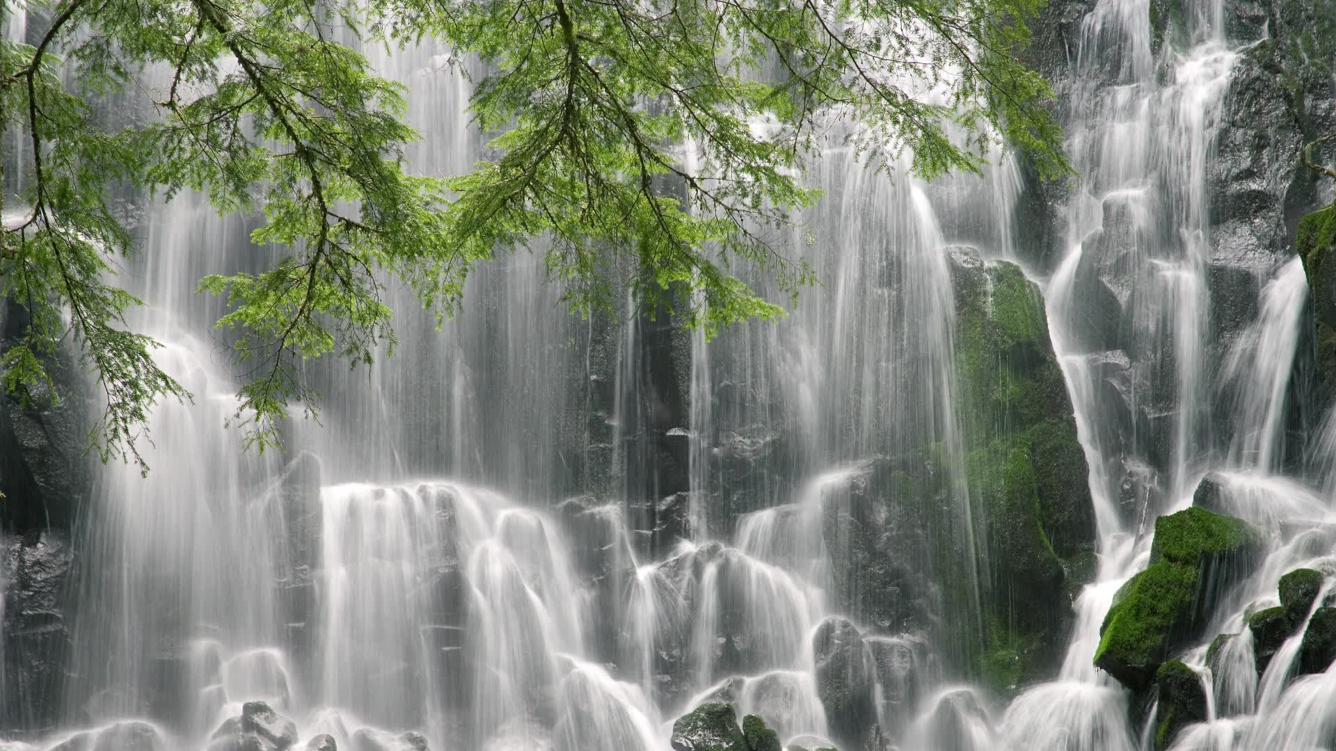 世界自行车公开赛:车队战术与个人耐力并重成胜负关键,世界自行车大赛